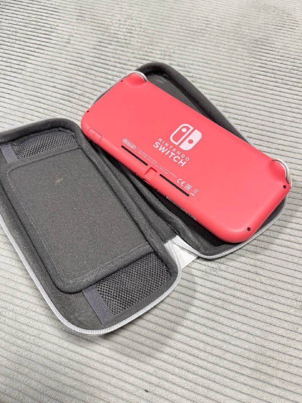 Nintendo Switch Light with case 2