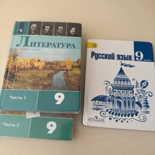 Учебники по литературе и русскому языку