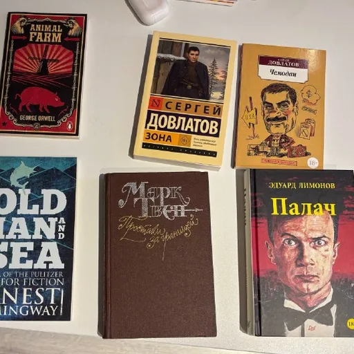 Книги Сергея Довлатова, Марка Твена, Эдуарда Лимонова, Эрнеста Хемингуэя, Джорджа Оруэлла