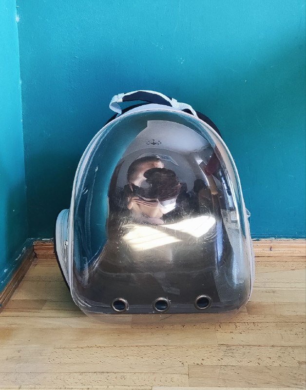 Рюкзак-переноска для кошек 2