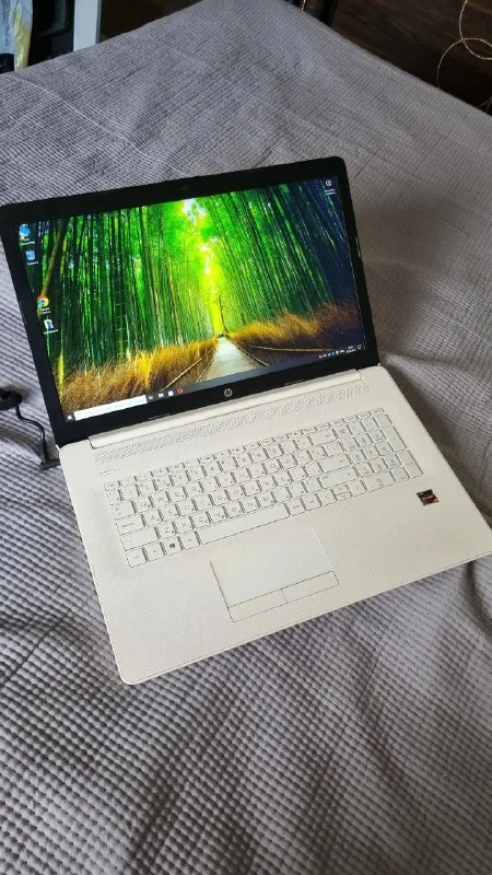 Ноутбуки HP 1