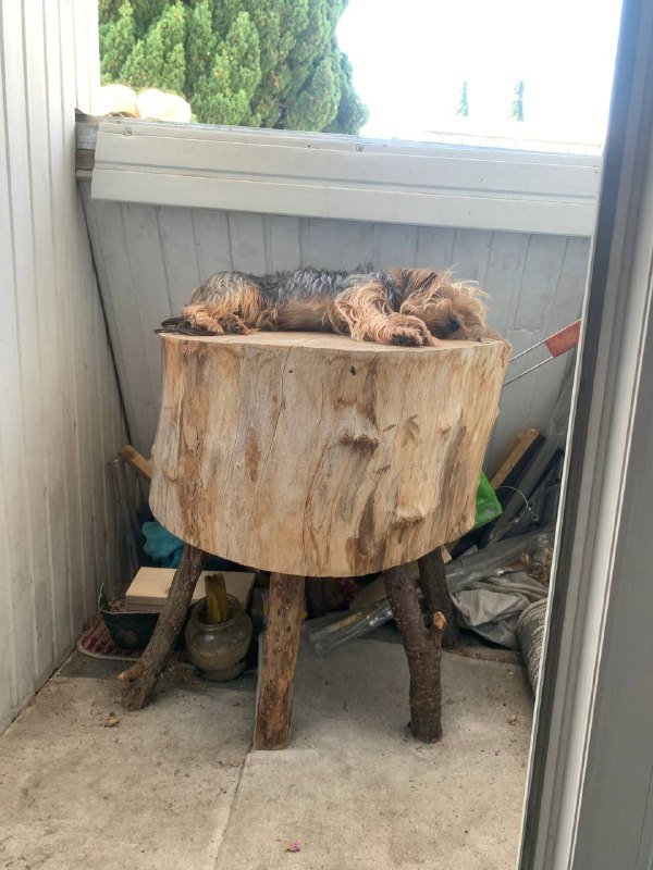 Деревянный стол