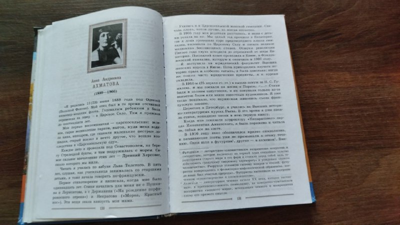 Учебник по литературе для 9 класса в 2 частях 4