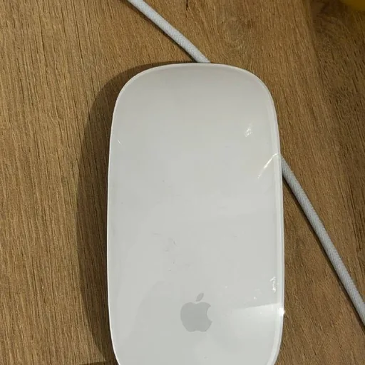 Apple Maus Lightning