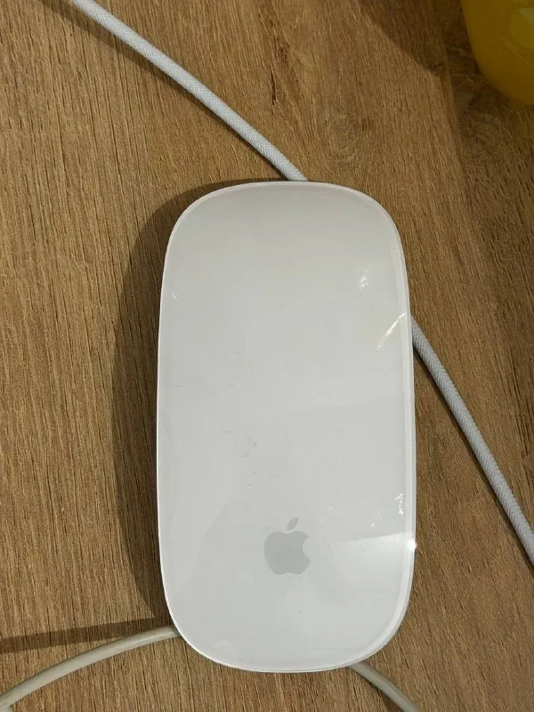 Apple Maus Lightning 1