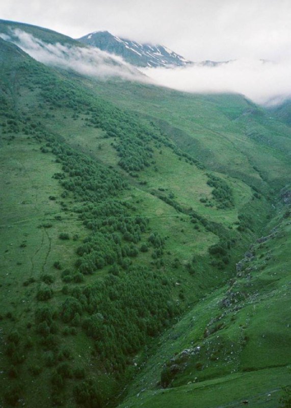 Пленочный фотоаппарат Olympus ХА 4