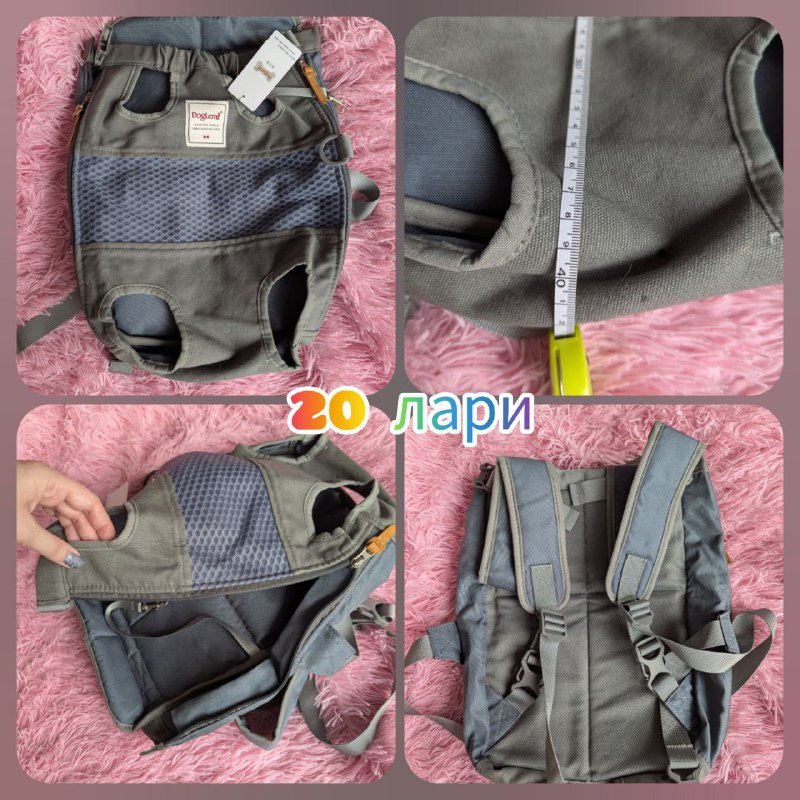 Рюкзак и куртка для собаки