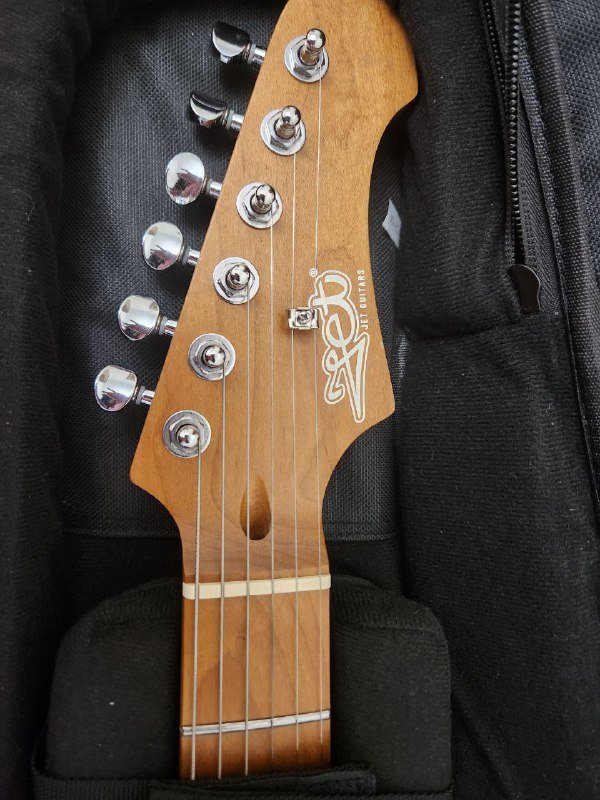 Электрогитара ZET с утеплённым чехлом 4