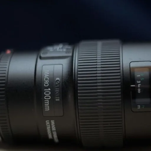 Объектив Canon EF 100mm f/2.8L Macro IS USM