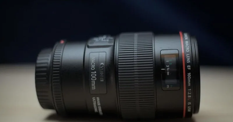 Объектив Canon EF 100mm f/2.8L Macro IS USM