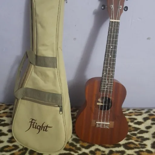 Укулеле с чехлом