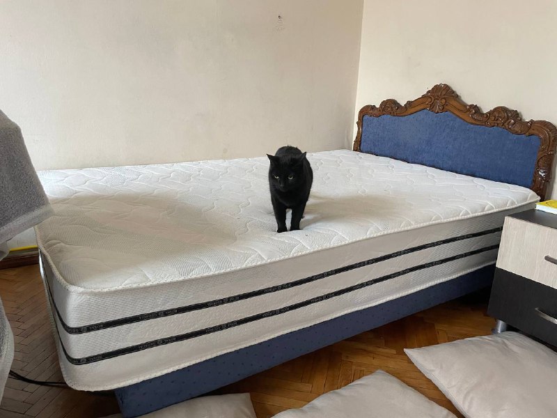 Матрас 160х200, Royal Georgia bio eco 2