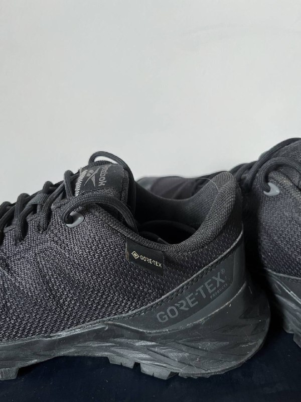 Трекинговые кроссовки Reebok Astroride Trail GTX 2.0 4