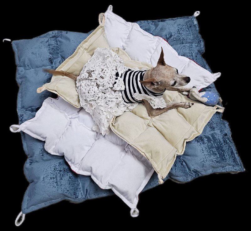 Лежанки для питомцев