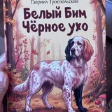 Новые книги 3