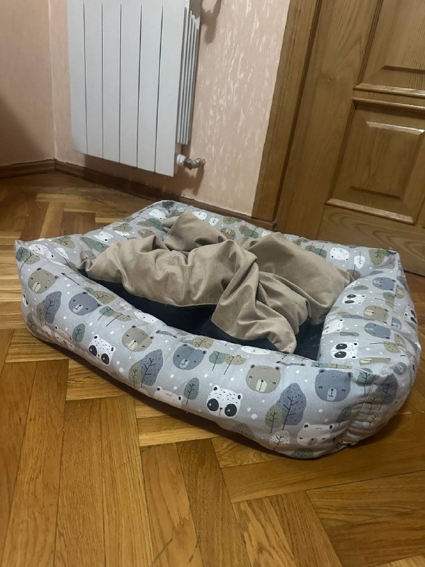 Apple Watch ремни, хьюмидор, мониторы Lenovo, лежанка для собаки, увлажнитель Xiaomi 10