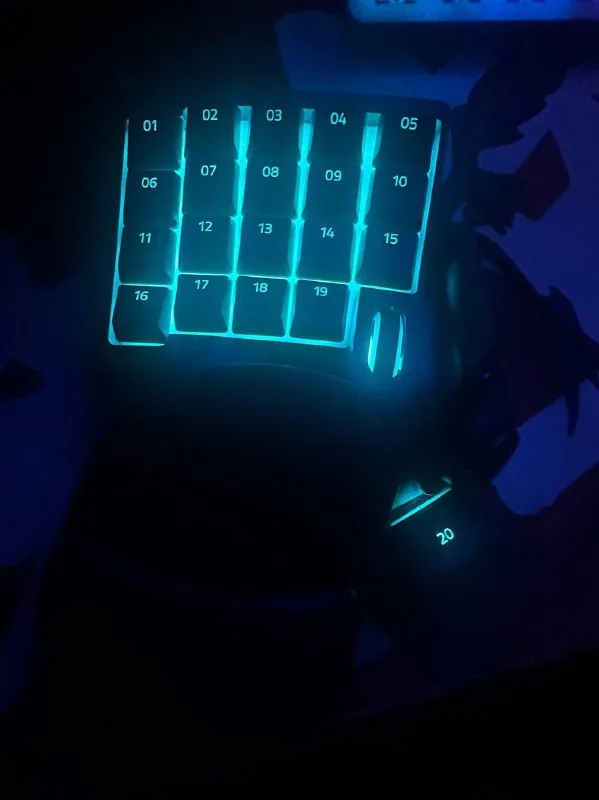Razer Tartarus V2 სათამაშო ქეიპადი 1