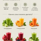 Electric auger juicer 2