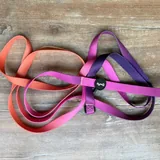 Поводок, шлейка, миски, игрушки, кофточка для собак 4