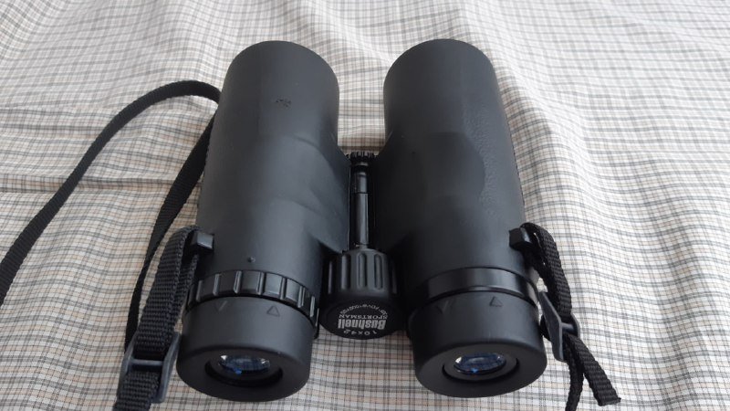 Бинокль Bushnell 10x42 3