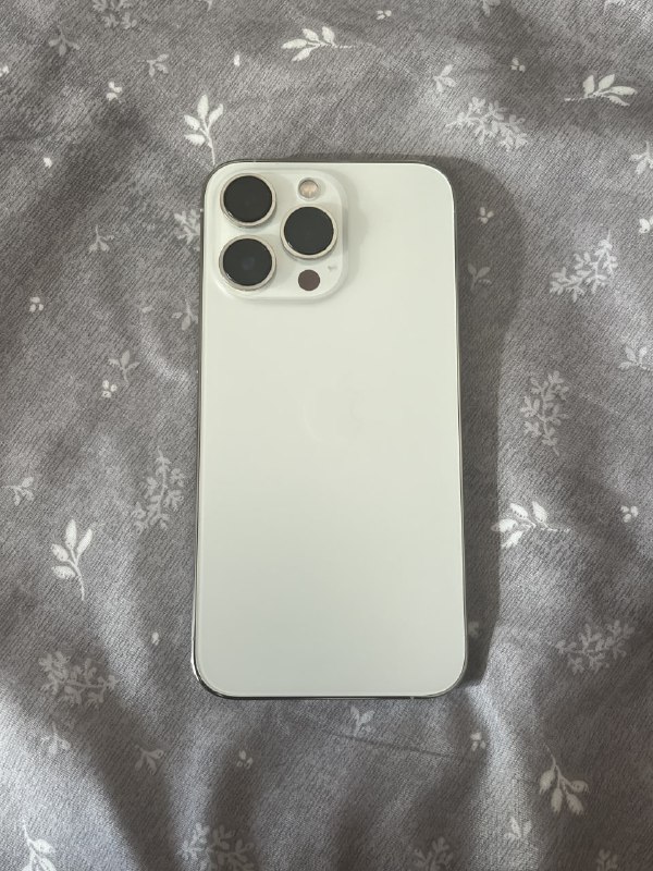 iPhone 13 Pro 1TB белый 2