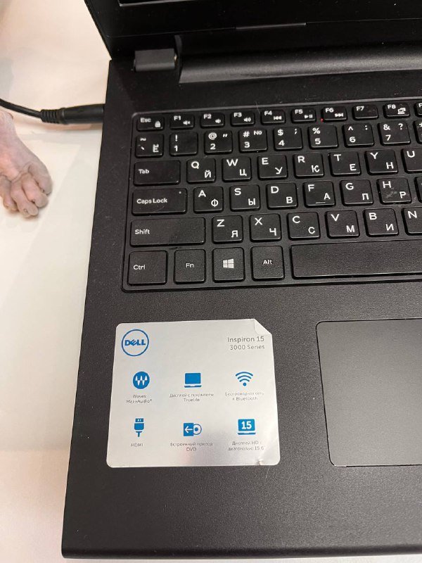 Ноутбук DELL Inspiron 15 3000 2