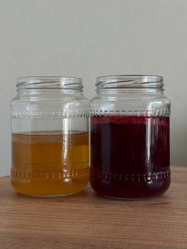 Чайный гриб для комбучи, 2 штуки 4