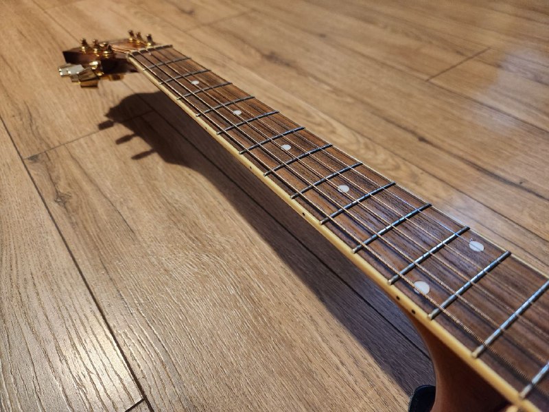 Электроакустическая гитара Ibanez AEL20EVV, чехол AMC 4