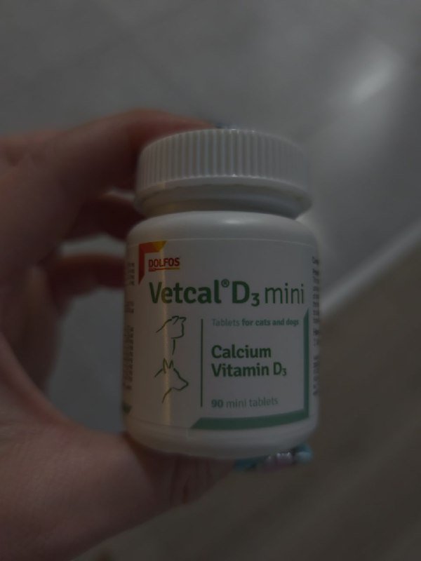 Витамины кальция для кошек