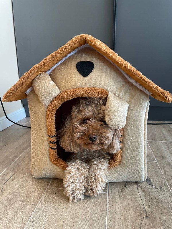 Мягкий домик для небольших собак 3