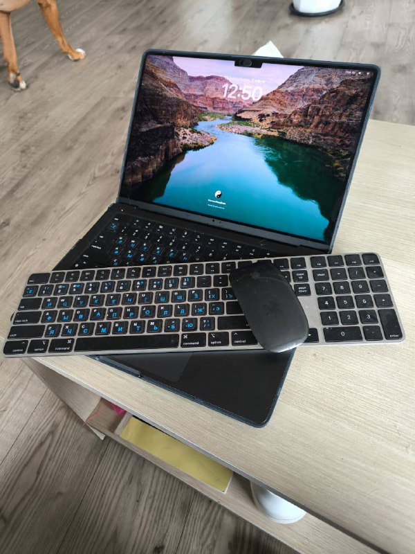 Apple MacBook Pro 14” (2023, M3 Pro)