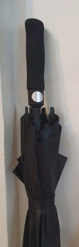 Зонт 1