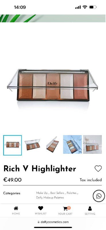 Палетка хайлайтер Delfy 2