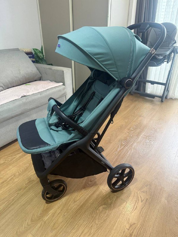 Коляска с конвертом и москитной сеткой 2