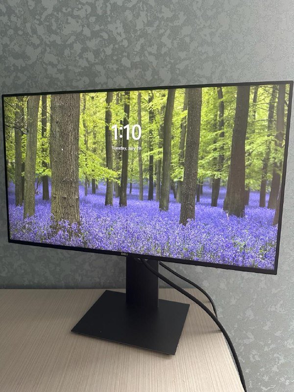 Монитор Dell U2419H