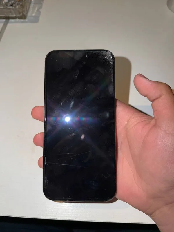 iPhone 16 Pro Max 1