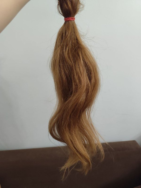 Натуральные волосы славянка 120 грамм 55 см 2