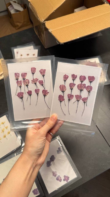 Сухоцветы в вакуумных упаковках, Вереск, Одуванчики, Лепестки василька 5