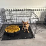Клетка для собаки 1