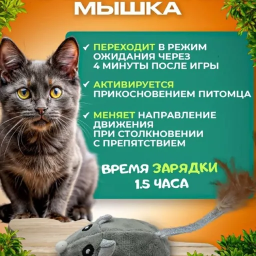 Интерактивные игрушки для кошек и собак, лежанка, когтеточка
