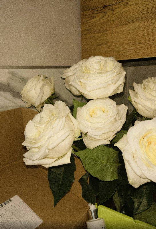 крем clio kill, bb-крем missha, солнцезащитка shikstudio, сыворотка aravia, гель для умывания aravia, пилинг skinphoria, праймер luxvisage, крем skinphoria, румяна essence, спрей luxvisage, спонж kiki