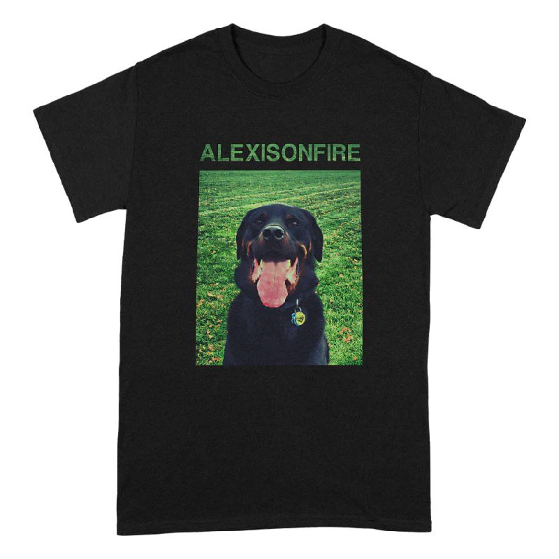 Футболка мерч Alexisonfire мужская M 4