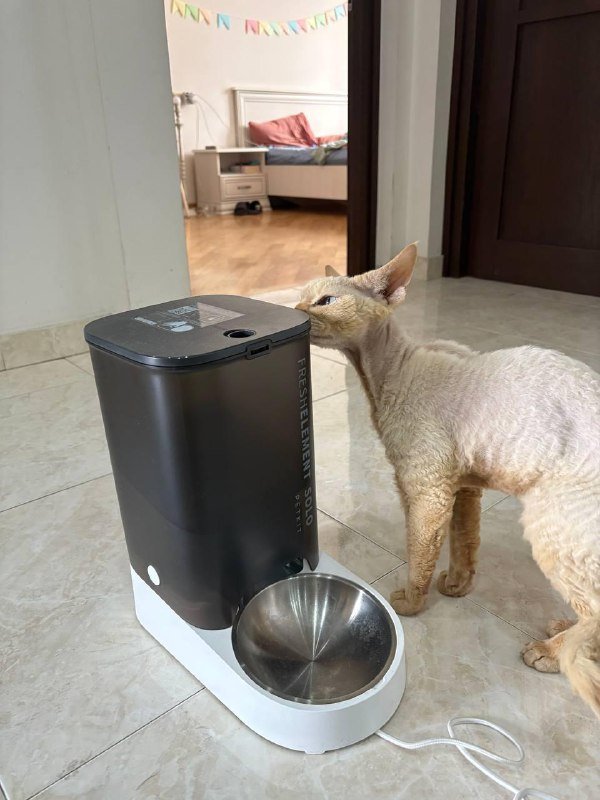 Походные подушки, матрасы, спальники, дрон, ботинки, духовка, пенни борд, настольная игра, автокормушка, электролобзик 9