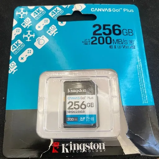 Карта памяти Kingston Canvas Go! Plus 256 ГБ