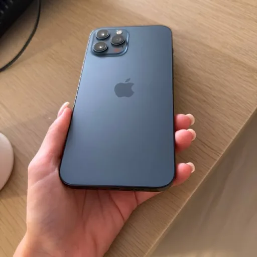 iPhone 12 Pro Max 512GB