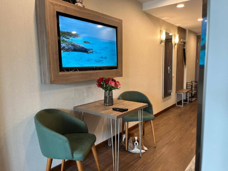 уютная большая студия 50 м² Wyn Residence, Адлия 1, аренда 3