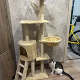 Кошачья когтеточка с домиком 1