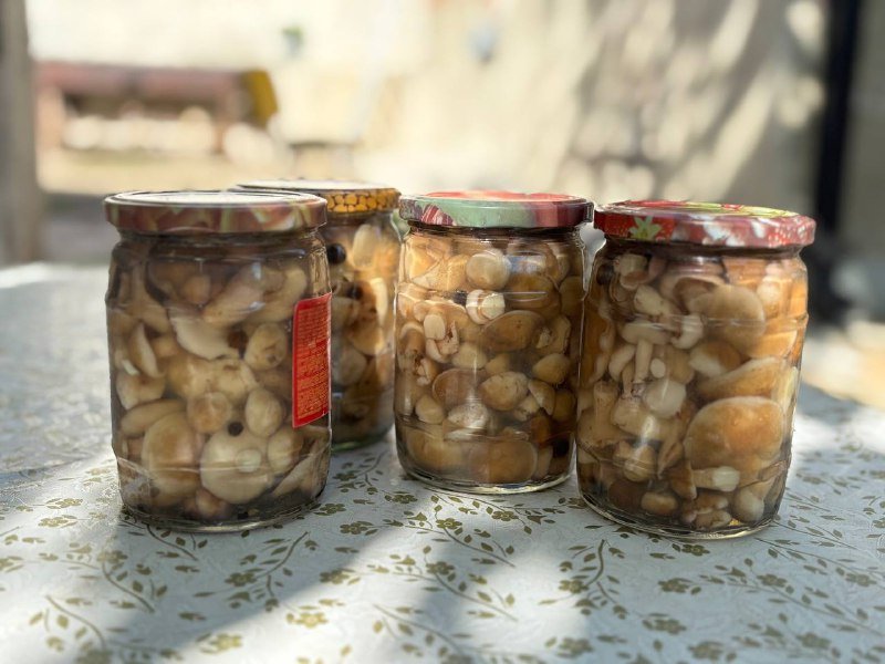 Маринованные грибы грузди, маслята в баночках 0,5 кг 6