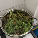 Рыба и раки 5