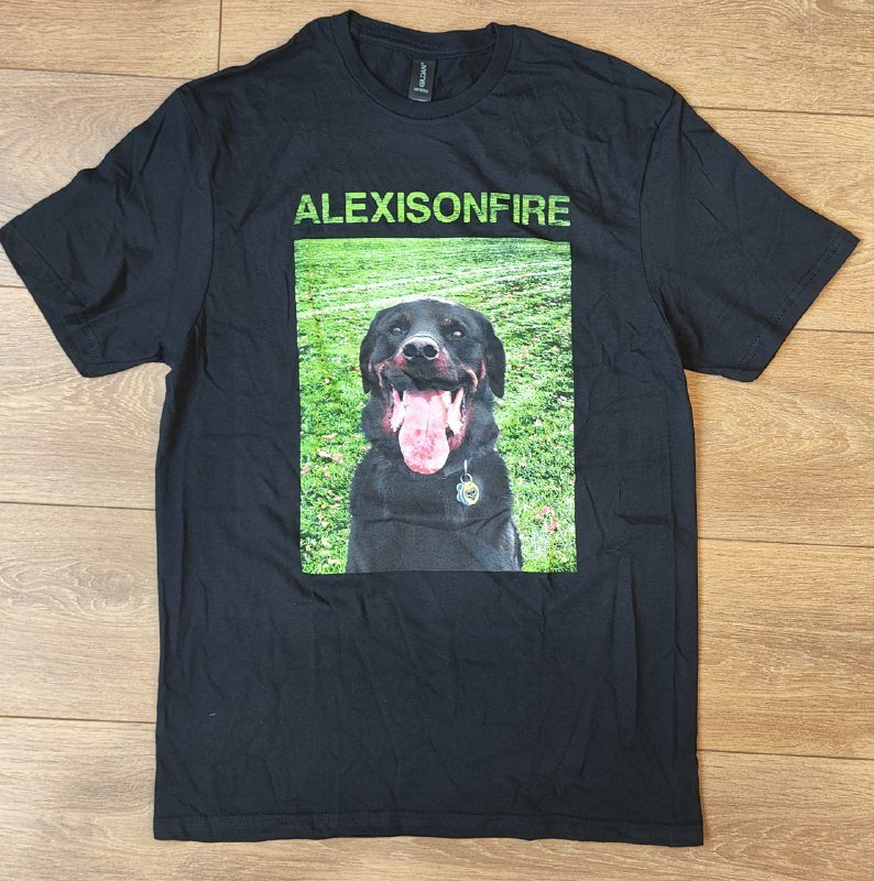 Футболка мерч Alexisonfire мужская M